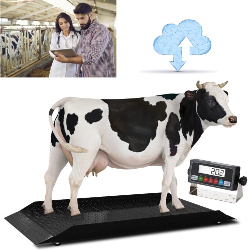 PS-4KCS | PS-4KCS-L Cattle Scale | Livestock Scale | Calf Scale with Indicator